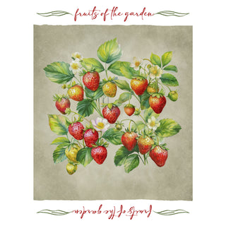 Set 6 Strofinacci Tiffany 24