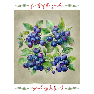 Set 6 Strofinacci Tiffany 24