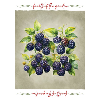 Set 6 Strofinacci Tiffany 24