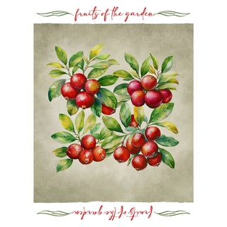 Set 6 Strofinacci Tiffany 24