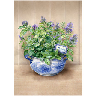 Set 6 Strofinacci Tiffany 25