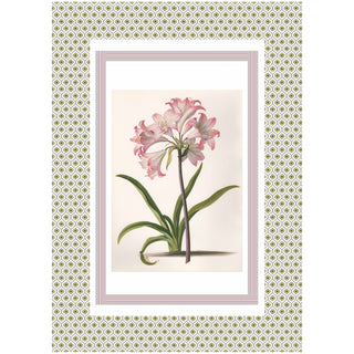 Set 6 Strofinacci Tiffany 28