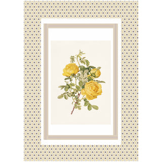 Set 6 Strofinacci Tiffany 28