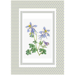 Set 6 Strofinacci Tiffany 28