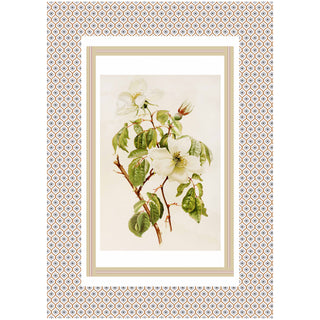 Set 6 Strofinacci Tiffany 28